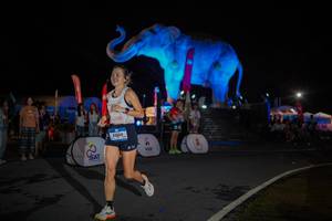 BIB: 
                            <button type="button" onclick="openModal(26551875)" class="btn btn-primary btn-sm float-right btn-popup" data-toggle="modal" data-target=".modal-high-quality">
                        <i class="fas fa-shopping-cart"></i> Add to Cart
                    </button>
                                            <button type="button" onclick="isThisMe(26551875, true)" class="btn btn-success btn-sm float-right btn-popup btn-isme hidden" data-toggle="tooltip" data-placement="bottom" title="นี่คือรูปของคุณใช่ไหม คลิกที่นี่เพื่อเอาเข้าอัลบั้ม">
                        <i class="fas fa-plus"></i> Add to album
                    </button>
                    <button type="button" onclick="isThisMe(26551875, false)" class="btn btn-warning btn-sm float-right btn-popup btn-isnotme hidden">
                        <i class="fas fa-ban"></i> Remove from album
                    </button>